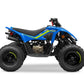 CF MOTO CFORCE 110 JUNIOR